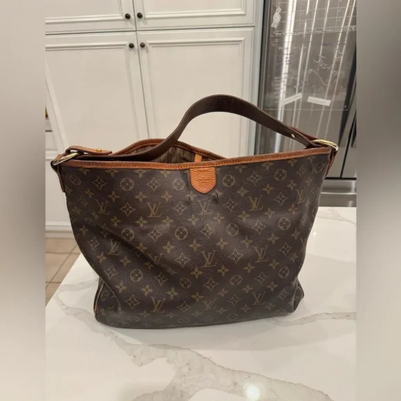 Louis Vuitton Large Delightful PM Brown Monogram Hobo Bag - Picture 1 of 14